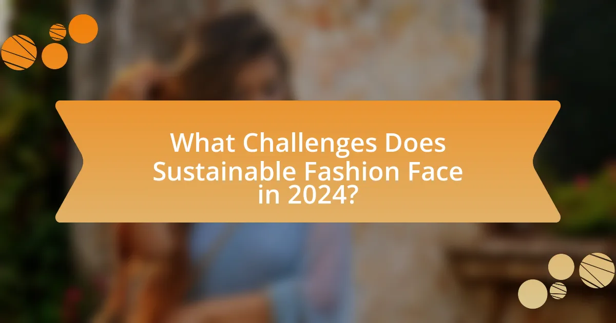 What Challenges Does Sustainable Fashion Face in 2024?