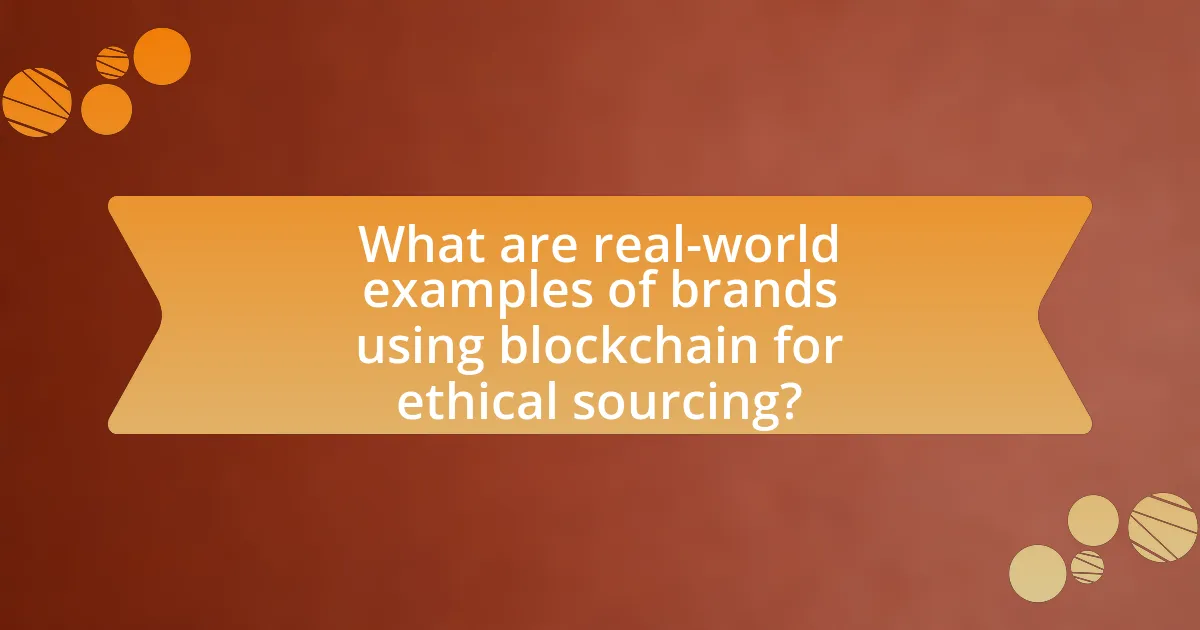 What are real-world examples of brands using blockchain for ethical sourcing?