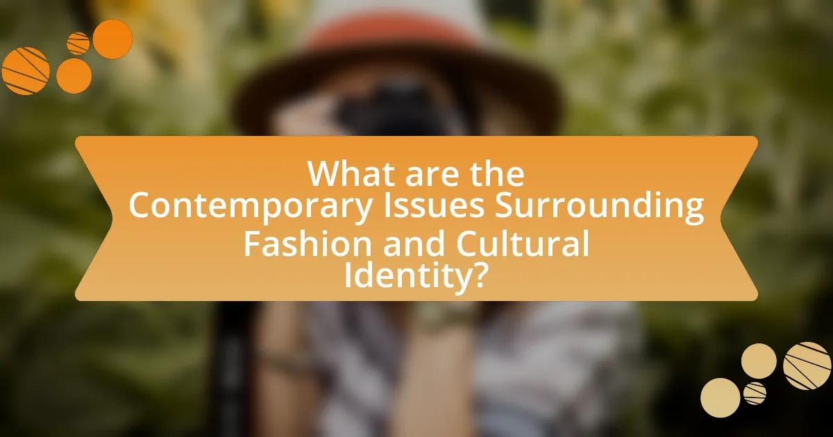 What are the Contemporary Issues Surrounding Fashion and Cultural Identity?