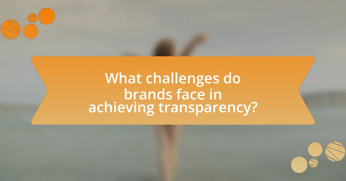 What challenges do brands face in achieving transparency?