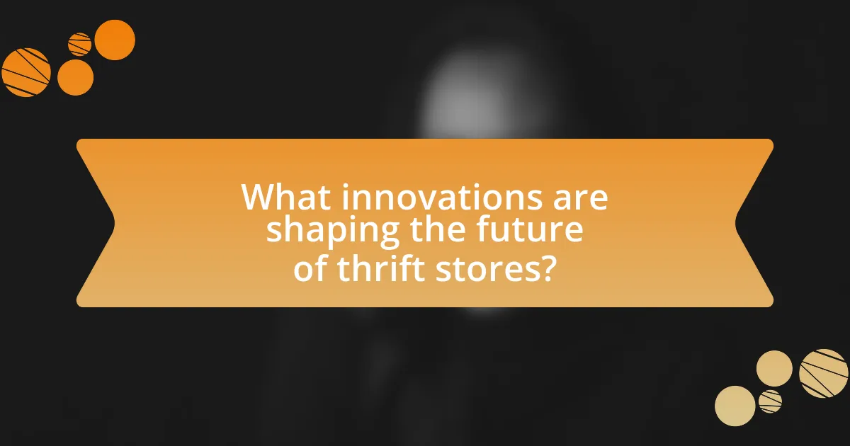 What innovations are shaping the future of thrift stores?