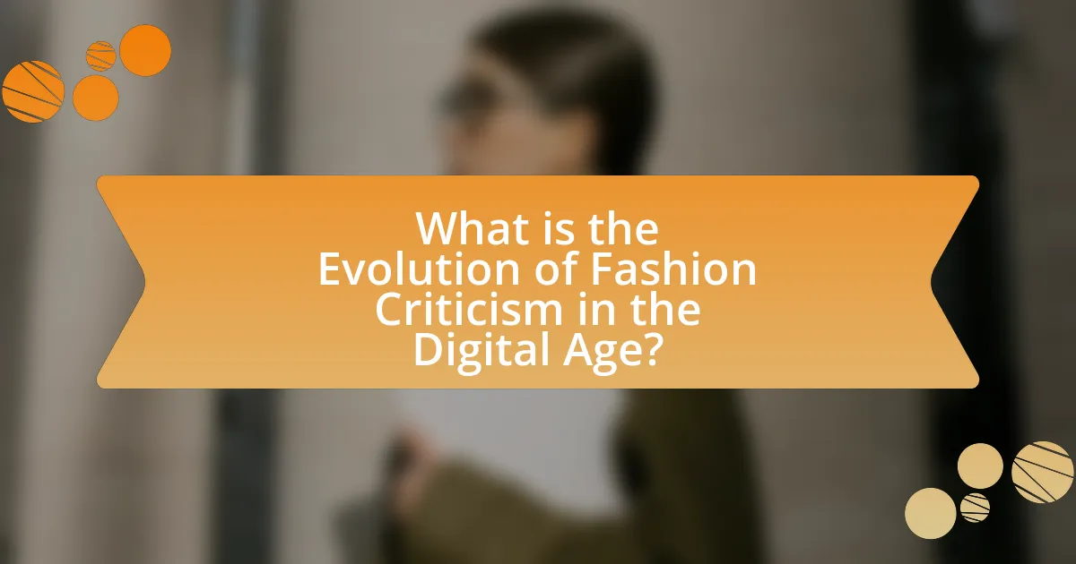 What is the Evolution of Fashion Criticism in the Digital Age?