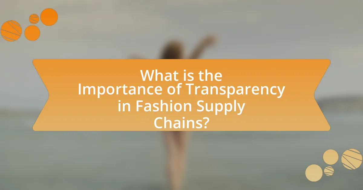 What is the Importance of Transparency in Fashion Supply Chains?